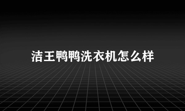 洁王鸭鸭洗衣机怎么样
