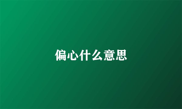 偏心什么意思