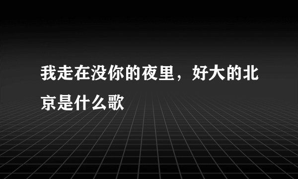 我走在没你的夜里，好大的北京是什么歌
