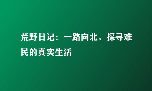 荒野日记：一路向北，探寻难民的真实生活