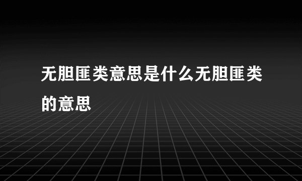 无胆匪类意思是什么无胆匪类的意思