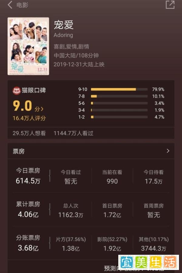 《宠爱》票房破4亿，让人落泪的拼盘电影，你看了吗？