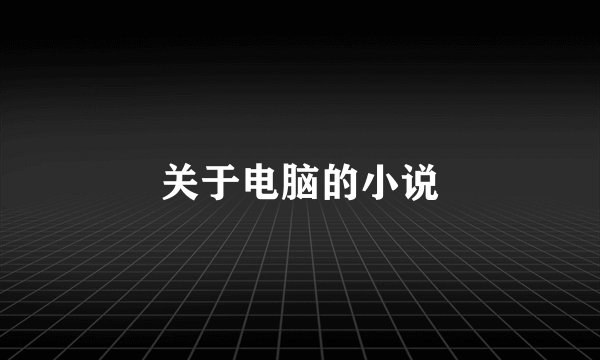 关于电脑的小说