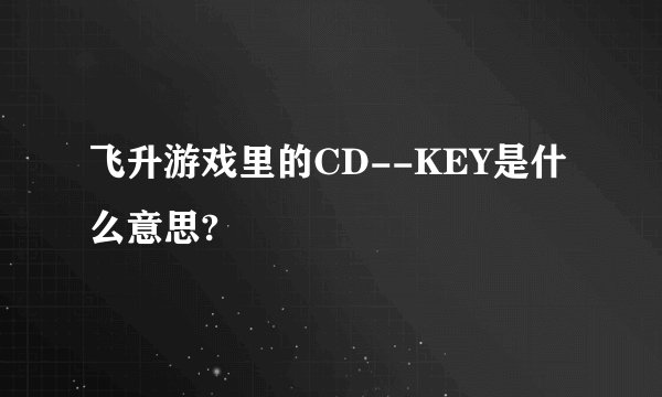 飞升游戏里的CD--KEY是什么意思?