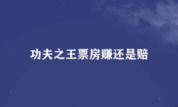功夫之王票房赚还是赔