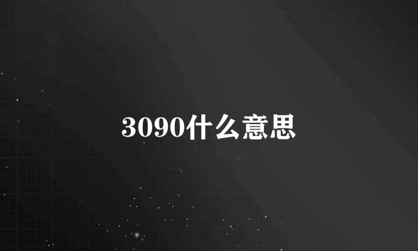 3090什么意思