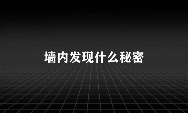 墙内发现什么秘密
