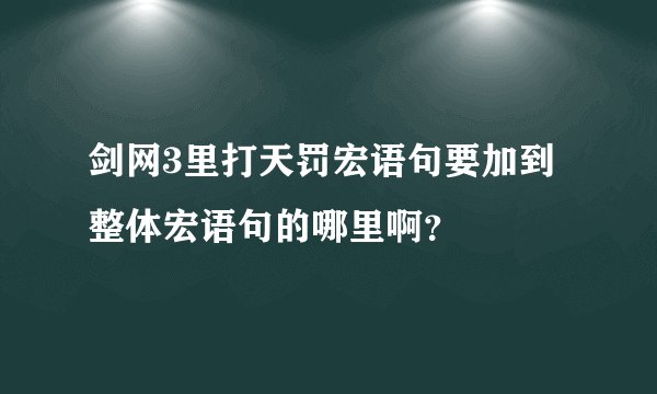 剑网3里打天罚宏语句要加到整体宏语句的哪里啊？