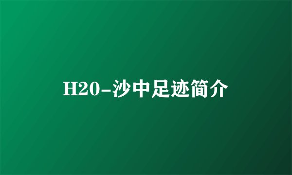 H20-沙中足迹简介