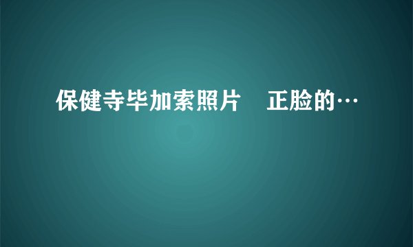 保健寺毕加索照片 正脸的…