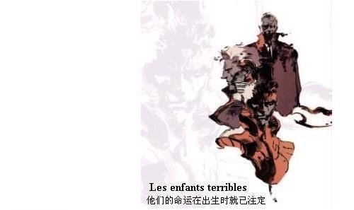 索利德斯内克的介绍