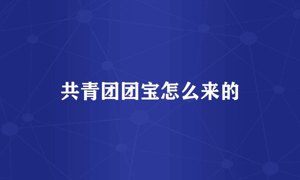 共青团团宝怎么来的