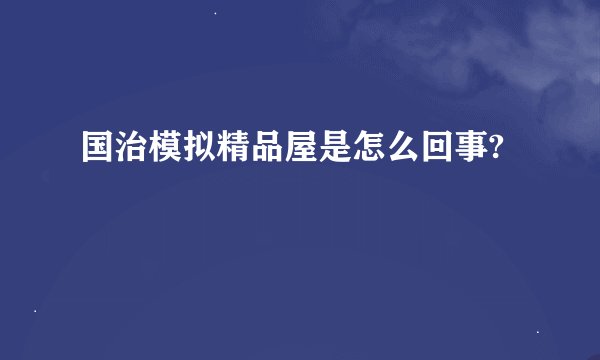 国治模拟精品屋是怎么回事?
