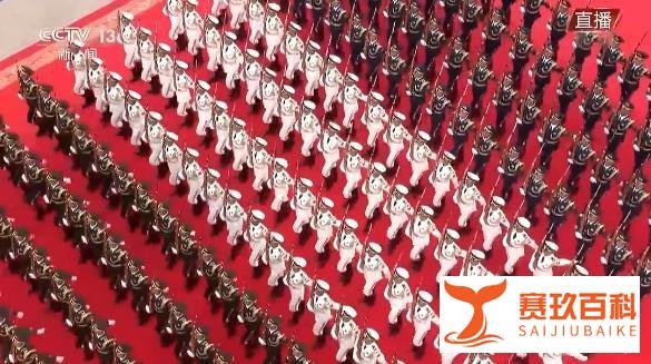 礼兵队伍俯拍太震撼了 这是咋情况？