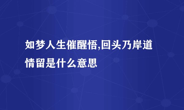 如梦人生催醒悟,回头乃岸道情留是什么意思