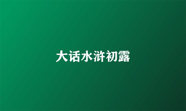 大话水浒初露