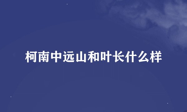 柯南中远山和叶长什么样