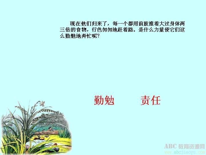 草丛的村落的课文《草虫的村落》