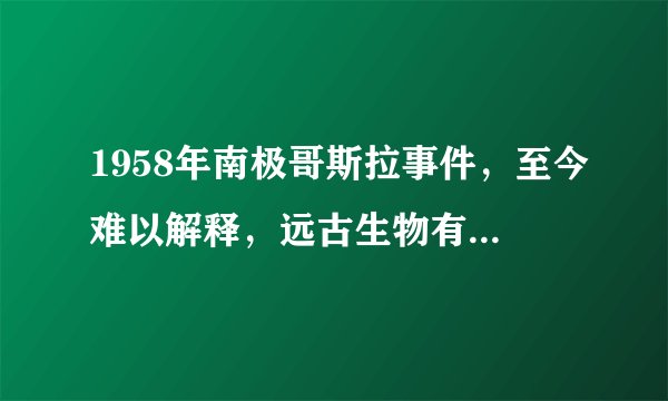 1958年南极哥斯拉事件，至今难以解释，远古生物有没有存活下来？