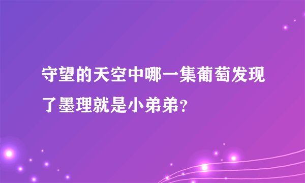 守望的天空中哪一集葡萄发现了墨理就是小弟弟？