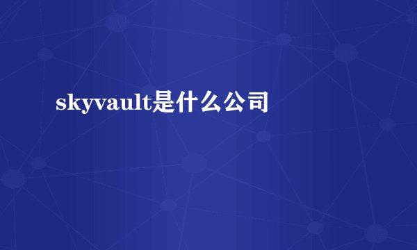 skyvault是什么公司