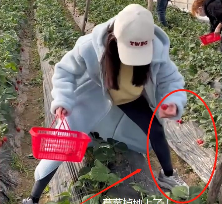 赵露思脱鞋吃草莓,谁看到她袜子的颜色了?网友直呼:“确定这是女明星?”