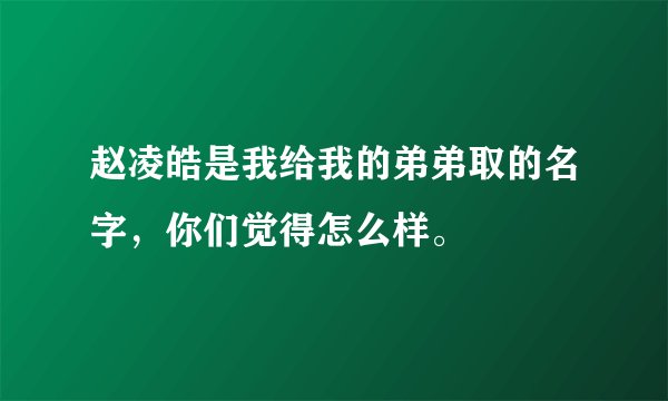 赵凌皓是我给我的弟弟取的名字，你们觉得怎么样。