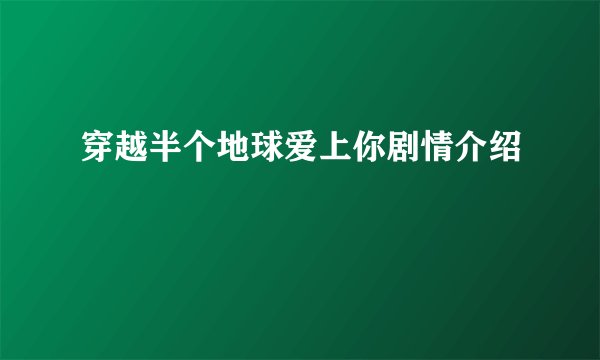 穿越半个地球爱上你剧情介绍