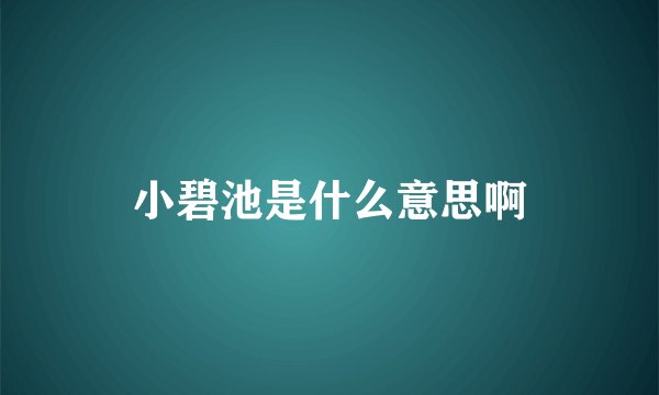 小碧池是什么意思啊
