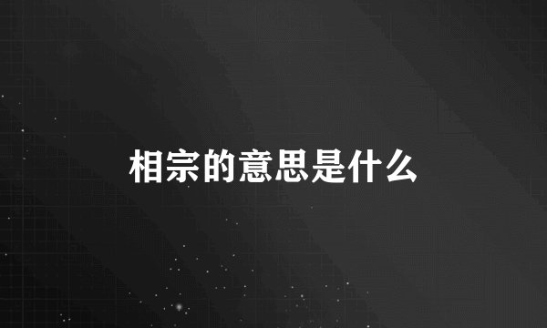 相宗的意思是什么