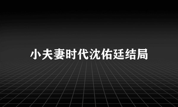 小夫妻时代沈佑廷结局