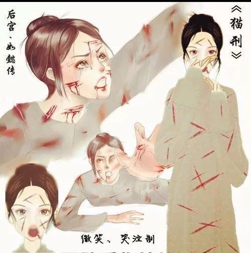 你还有没有如懿传小说的链接 谢谢