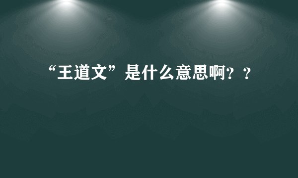 “王道文”是什么意思啊？？