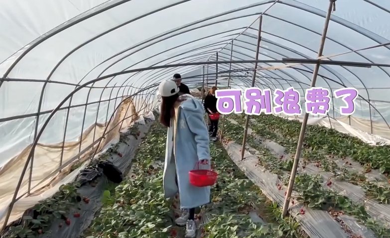 赵露思脱鞋吃草莓,谁看到她袜子的颜色了?网友直呼:“确定这是女明星?”