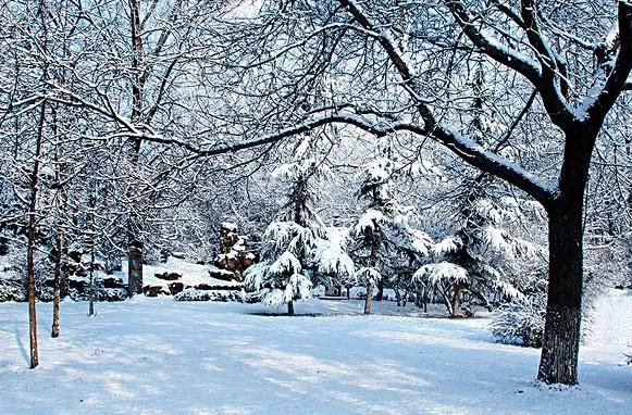 雪中即景是什么意思