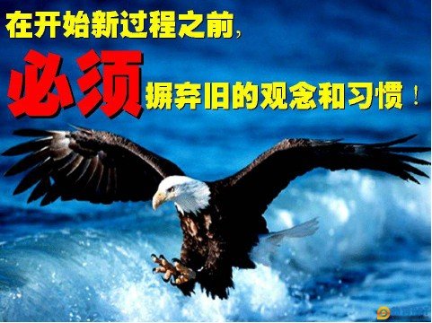 如何理解“鹰的重生”这句话?