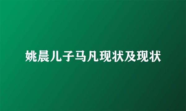 姚晨儿子马凡现状及现状