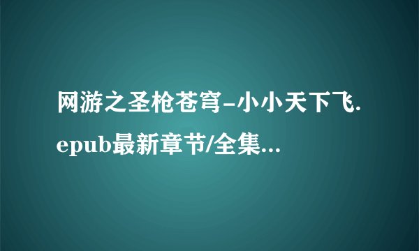 网游之圣枪苍穹-小小天下飞.epub最新章节/全集txt免费下载