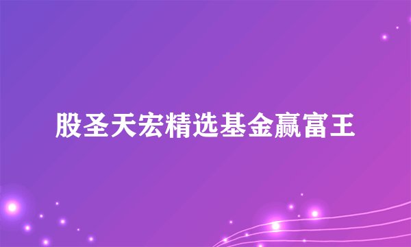 股圣天宏精选基金赢富王