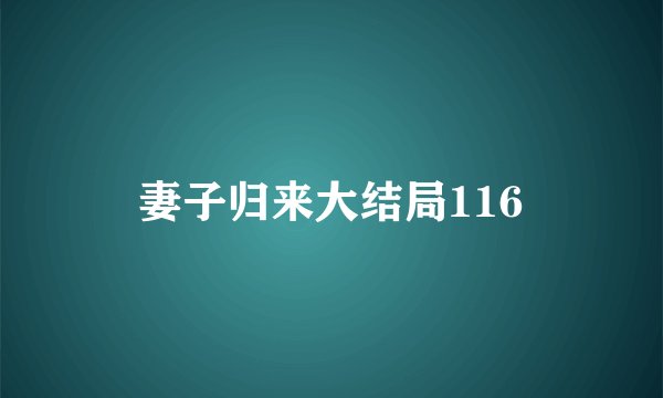 妻子归来大结局116