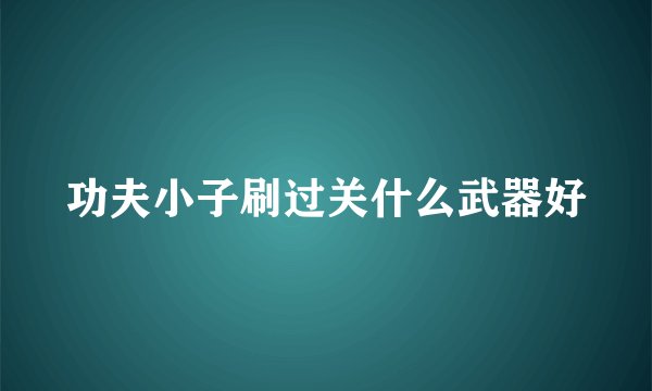 功夫小子刷过关什么武器好