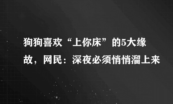 狗狗喜欢“上你床”的5大缘故，网民：深夜必须悄悄溜上来