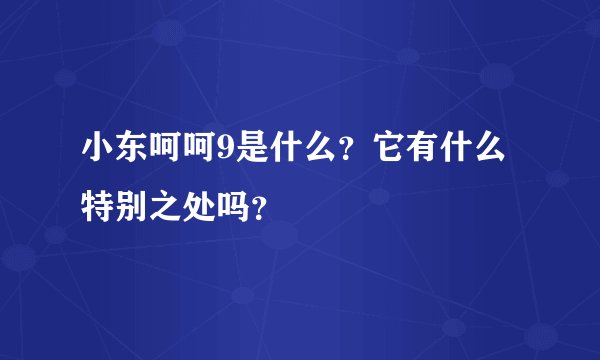 小东呵呵9是什么？它有什么特别之处吗？
