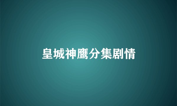 皇城神鹰分集剧情