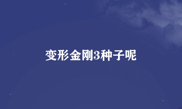 变形金刚3种子呢