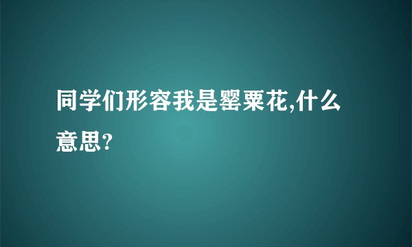 同学们形容我是罂粟花,什么意思?