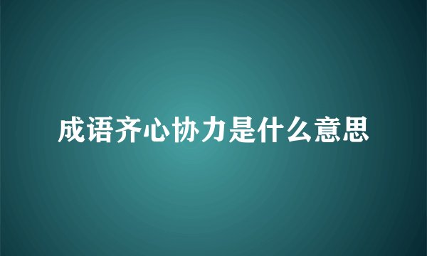 成语齐心协力是什么意思