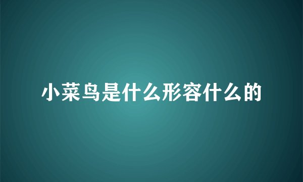 小菜鸟是什么形容什么的
