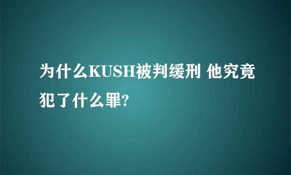 为什么KUSH被判缓刑 他究竟犯了什么罪?