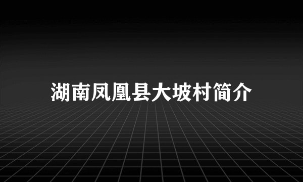 湖南凤凰县大坡村简介